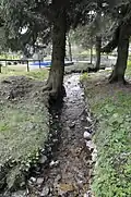 Der Bach Gabelwasser vor der Einmündung in die Truse