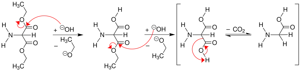 Verseifung zu α-Aminomalonsäure und Glycin