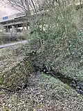 Bachanfang bei Güterumgehungsbahn Münster und B51