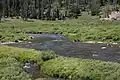 Oberlauf im Yellowstone-Nationalpark
