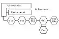 Schematische Darstellung des Gangliosids der Blutgruppe A.