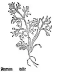 Gart der Gesundheit 1485
