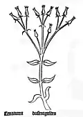 Gart der Gesundheit 1485
