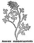 Gart der Gesundheit 1485