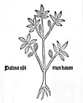 Gart der Gesundheit 1485