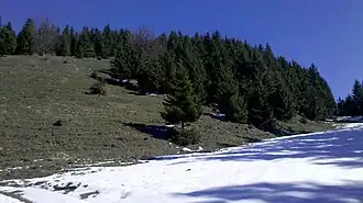 Gassler Berg mit Berger-Alm von Süden