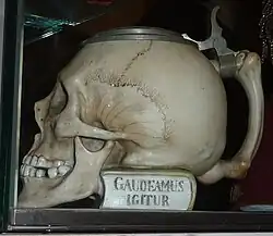 Gaudeamus igitur (De brevitate vitae)