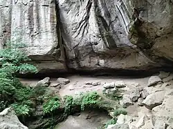 Gautschgrotte