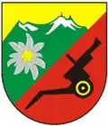 Internes Verbandsabzeichen