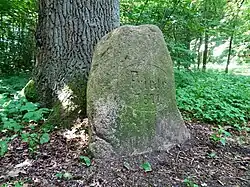 Gedenkstein an der Friedenseiche