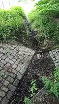Geelebek Nebengraben A an der Quelle