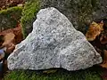 Gefrittetes Gestein (hell) vor Basalt (dunkel) vom "Steinbuckel"