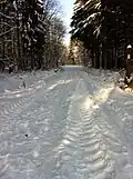 Derselbe Weg mit Blickrichtung zum Berggipfel (nordnordostwärts; 2015)
