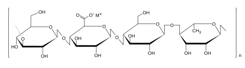 Gellan mit geringem Acylanteil