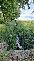 Geltingerau bei Freienwillen