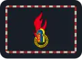 Gemeindejugendfeuerwehrwart/-in