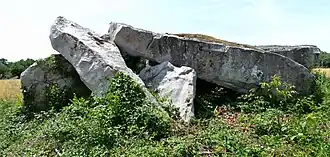 La Pierre couverte de la Pagerie