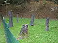 „Steinkohlenwald“, Abgüsse von in der Steinkohle gefundenen Baumstämmen.