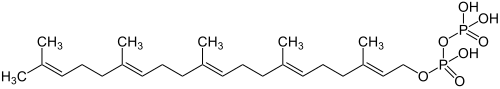 Strukturformel von Geranylfarnesylpyrophosphat
