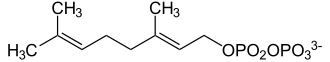 Strukturformel von Geranylpyrophosphat