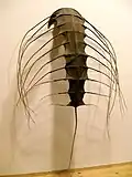 Objet biomorphe