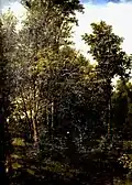 Waldstück – Öl auf LW