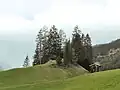 Ort der Gerichtsstätte Lechtal im Weiler Seesumpf