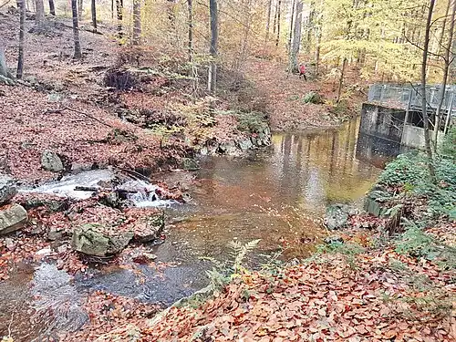 Gestautes Wasser aus Hasselbachgraben Ost und Hasselbach Süd, links am Stauwehr die Ableitung des vereinigten Wassers Richtung West zur Dreilägerbachtalsperre.