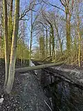 Kurz vor der Mündung in den Emmerbach