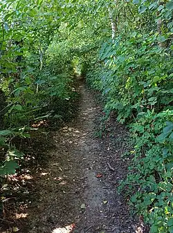 Wegverlauf