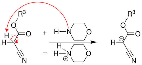 Reaktionsmechanismus der Gewald-Reaktion