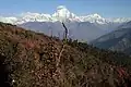 Blick zum Dhaulagiri