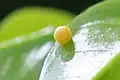 Ei