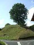 Reste der Wallburg