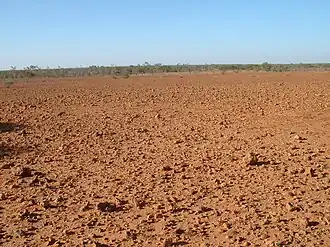 Harter, steiniger Wüstenboden (Gibber plains) im Sturt-Nationalpark