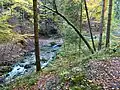 Gießenbach oberhalb von Untermberg.