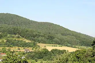 Der Giftige Berg (etwa Bildmitte) am Nordabfall der Hohen Mark (links)