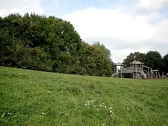 Südhang des Girzenbergs bei dessen Gipfel