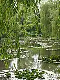 Monets Garten in Giverny, Mai 2002