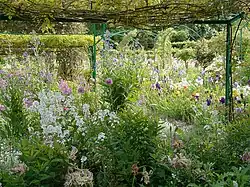 Pergola, Mai 2009