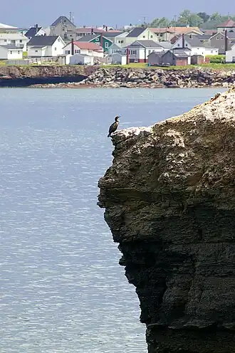 Blick auf Glace Bay