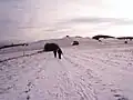 Nordwestseite des Gläserbergs im Winter