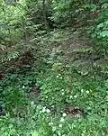 Ursprung eines Quellbaches der Glan