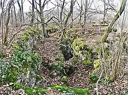 Hangrutschung mit Abrissspalten
