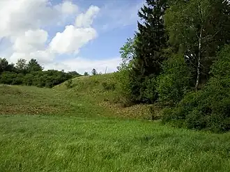 Der Teichdamm