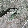 Glaukonit