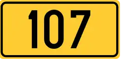 Glavna cesta 107