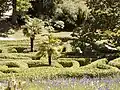 Glendurgan: Irrgarten