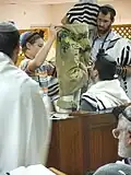 Gelila (hebräisch גְּלִילָה)