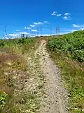 Goetheweg bei Altenau